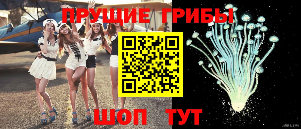 где купить   Псилоцибиновые грибы прущие грибы  Вход с VPN  Псилоцибиновые грибы мухоморы  Кимовск 