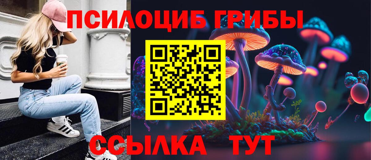 Псилоцибиновые грибы Psilocybe Кимовск